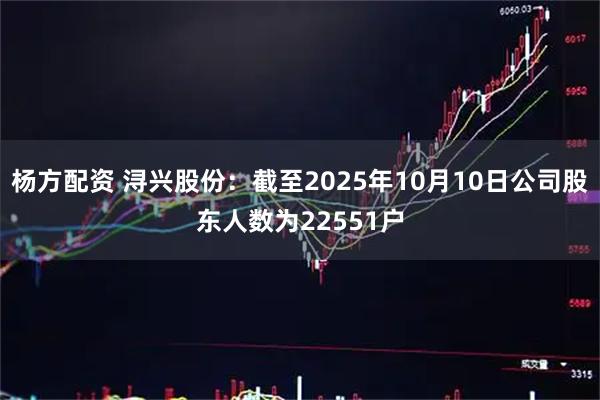 杨方配资 浔兴股份：截至2025年10月10日公司股东人数为22551户