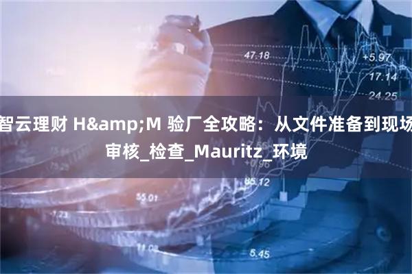 智云理财 H&M 验厂全攻略：从文件准备到现场审核_检查_Mauritz_环境