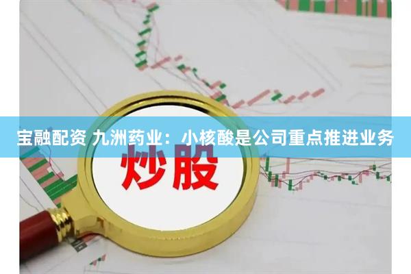 宝融配资 九洲药业：小核酸是公司重点推进业务